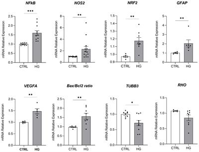 Effects of mesenchymal stromal cells and human recombinant Nerve Growth Factor delivered by bioengineered human corneal lenticule on an innovative model of diabetic retinopathy